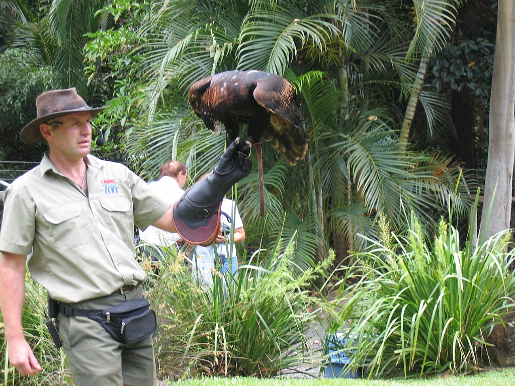 CairnsTC187 Cairns Tropical Zoo.jpg